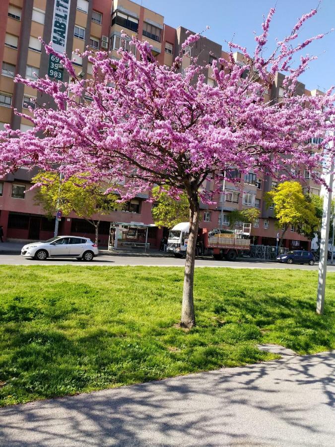 Grand Via Appartamento